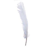 White Long Quill Feathers 